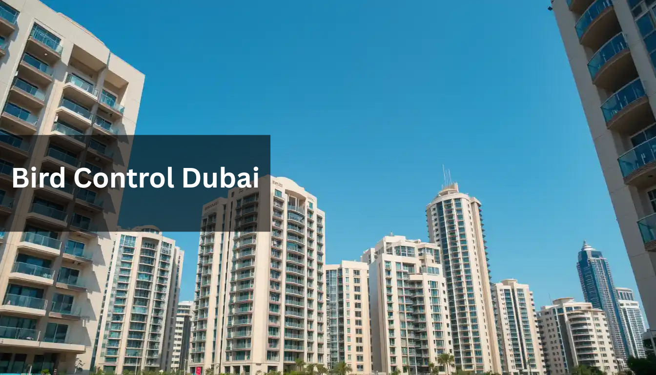 Bird Control Dubai